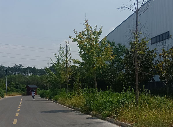廠房展示